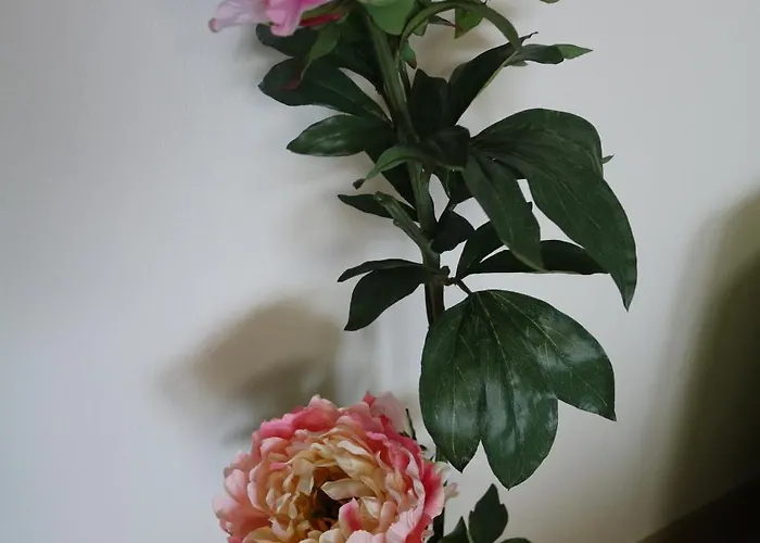 Lohrenz * גוסלר